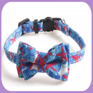 Collar-253
